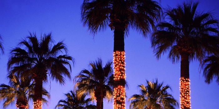 1280x800 holidaylights5 1280*800 Chrisrmas Lights - Chrisrmas Holiday Lights