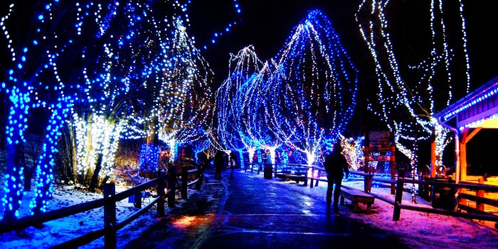 3008x2000 Holiday Lights Tour | Preslimo