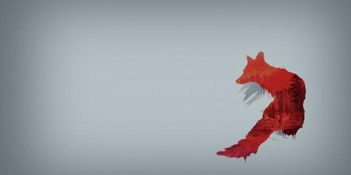 1244x700 Abstract minimalistic red simple background grey background foxes