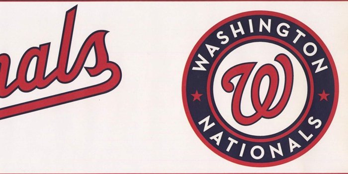 1500x787 Washington Nationals MLB Baseball Team Fan Sports Wallpaper Border Modern  Design, Roll 15' x 6
