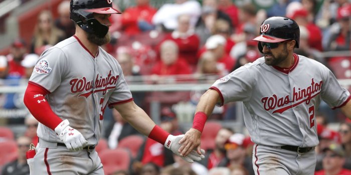1310x873 5448258 1310x873 washington nationals windows wallpaper | washington