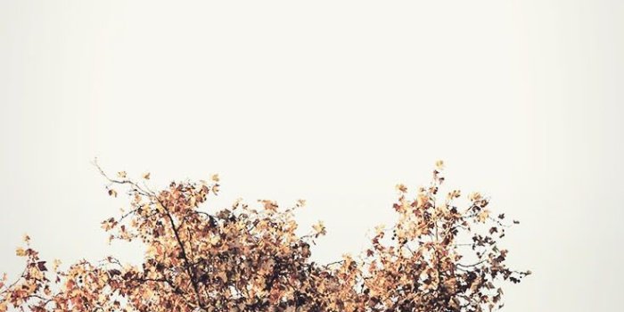 736x1308 15 Gorgeous Happy Fall iPhone X Wallpapers | Preppy Wallpapers