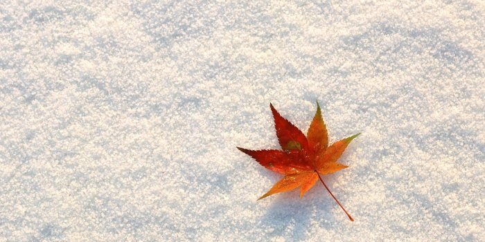 1600x1200 Cute Fall Desktop Backgrounds (100+ images in Collection) Page 1