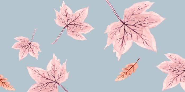 1242x2208 Best 25+ Free fall wallpaper ideas | Fall background, Cute fall