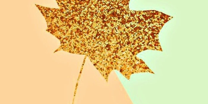 1087x1932 Fresh Cute Fall Desktop Wallpaper | Wallpaper Collections