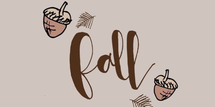 736x1308 Cute Fall Wallpaper Backgrounds (23+ images) on Genchi.info