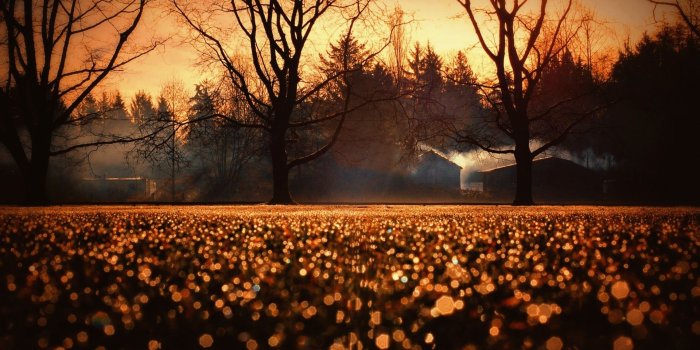 1920x1080 cute-fall-desktop-wallpaper3 | Style24x7