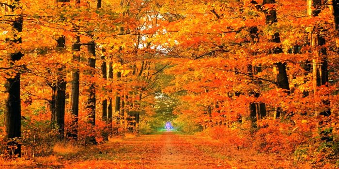 1920x1080 Cute fall wallpaper for desktop Gallery