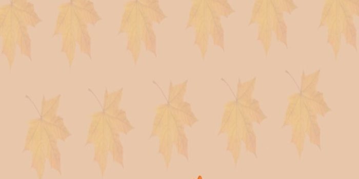 720x1280 Fall Owl Screensavers | Bestpicture1.org