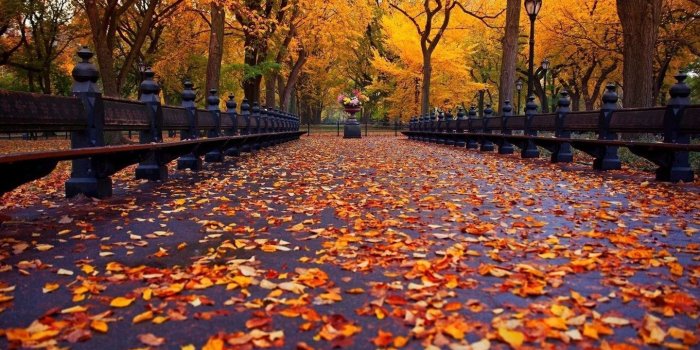 1440x900 Fall HD Cute Wallpapers Free HD Wallpapers Download Fall HD Cute