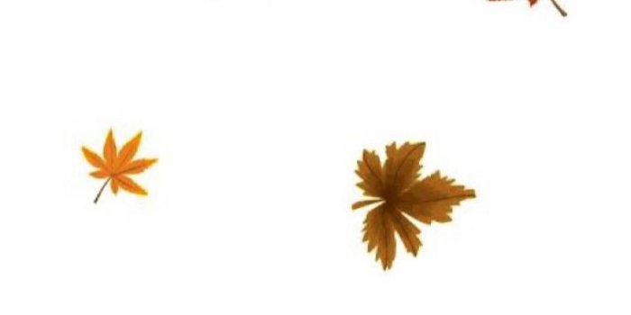 1242x2204 30033386 The Queen of the Closet - #fall #backgrounds #background