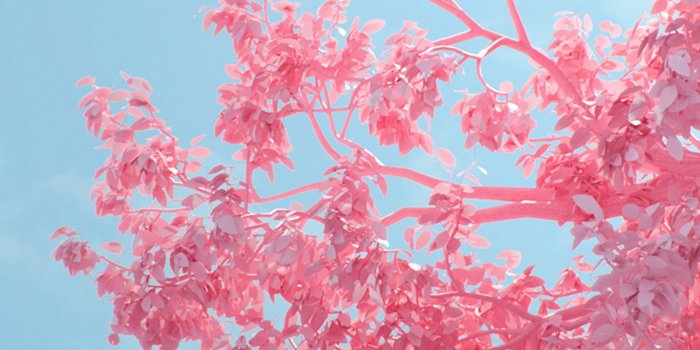 3840x2160 Cute Fall Background Wallpaper Autumn Fall Season IPhone Wallpaper