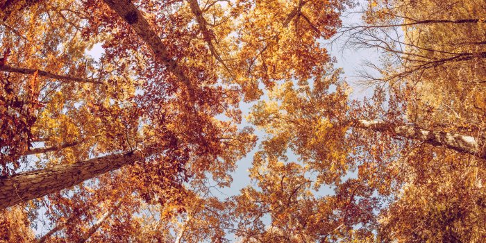 5184x3456 5418206 4896x2754 #autumn, #cute backgrounds, #funny wallpapers