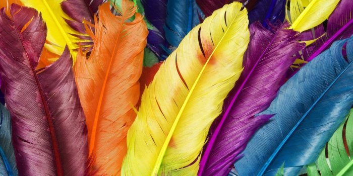 2560x1440 Colorful Wallpapers | Best Wallpapers