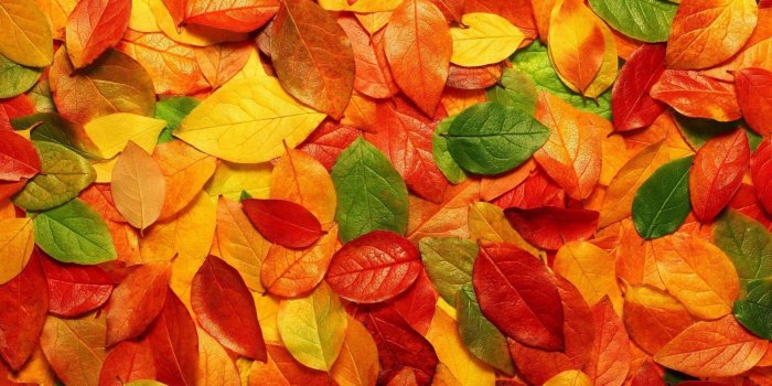 1920x1080 Colorful HD Backgrounds