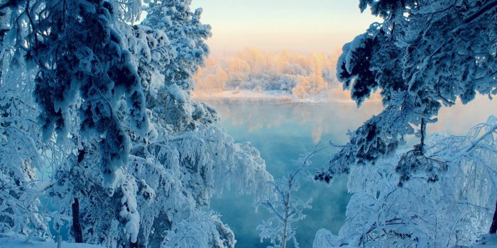 2560x1600 Frozen Winter Lake Snow Trees View Desktop Wallpaper