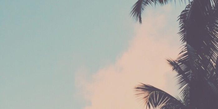 1080x1920 77+ Chill Vibes Wallpapers on WallpaperPlay