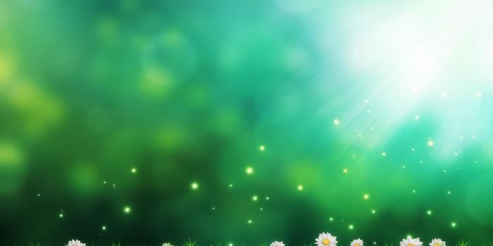 2560x1600 Green magical HD wallpaper download