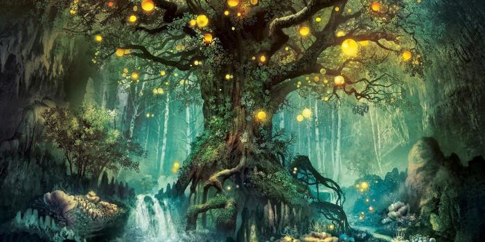 1920x1080 Magical Forest Wallpapers - Top Free Magical Forest Backgrounds