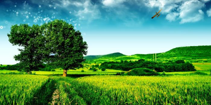 2560x1600 Best Magical tree alone Wallpapers (8 + Images)