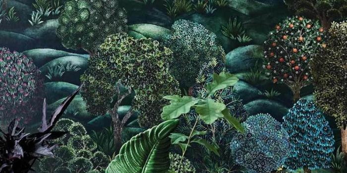 800x1129 Forest Wallpaper - Botanical Botanica Collection - Cole & Son in