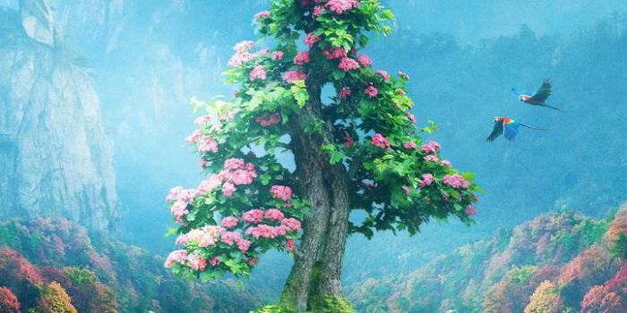 720x1280 Spring Autumn Colorful Nature Magical Forest | Mobile Wallpaper