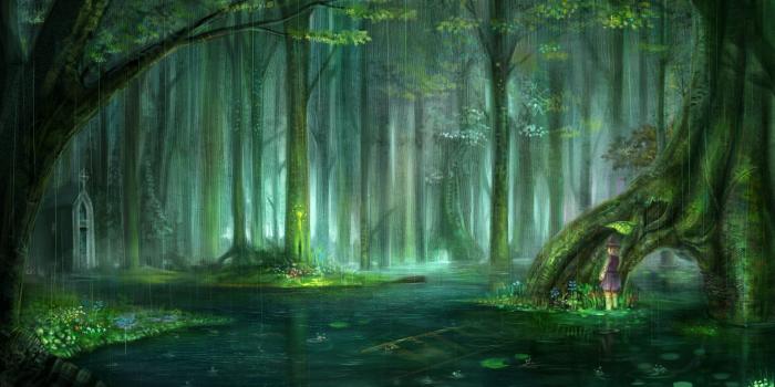 1920x1200 Magical forest wallpaper Gallery