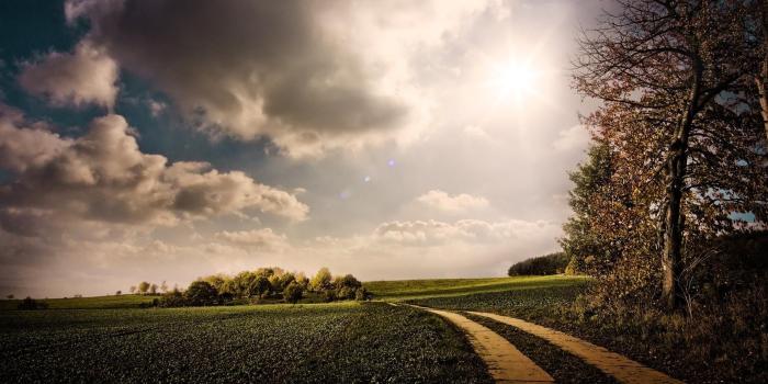 1920x1080 Fields: Clouds Country Magical Road Sunrays Fields Tree Best