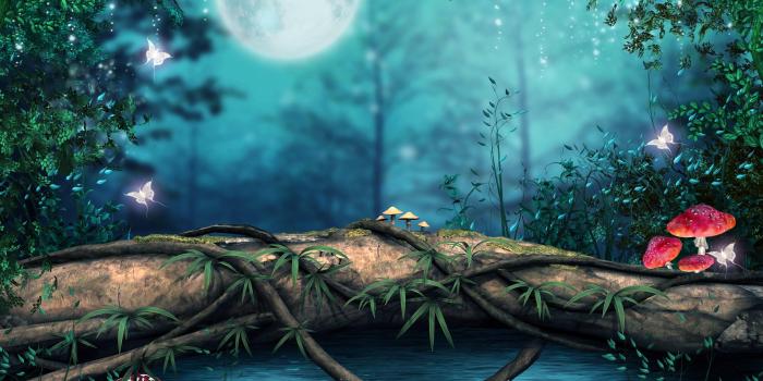 4000x3000 Magical Forest Wallpaper ,free download, (47) - cerc-ug.org