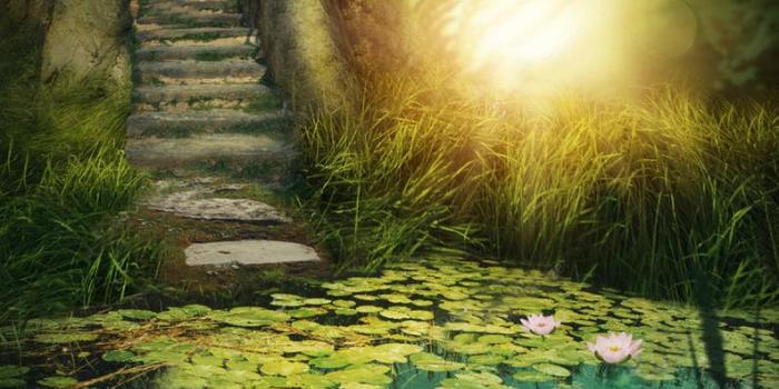 794x1012 Wallpaper Decoration ,Magical Forest Fairy tale, Lake, Gorgeous Art,Living  Room Design, Large Photo Wall Mural, Adhesive Vinyl