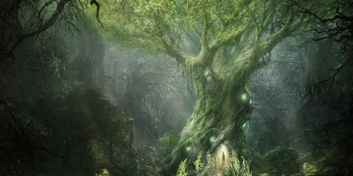 1920x1300 Trees wallpapers | Page 65