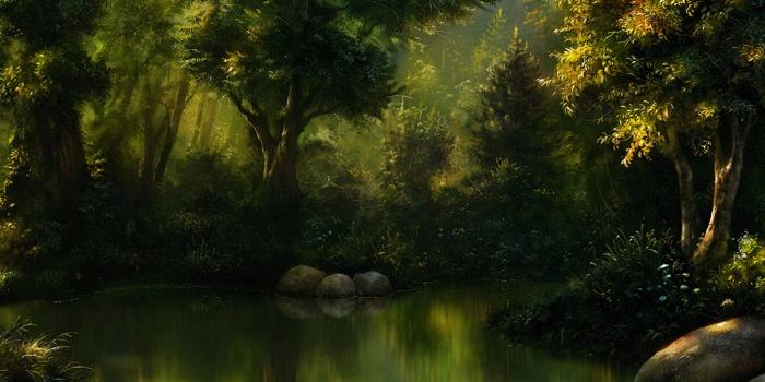 5120x2160 Magical lake at the midlle of the forest HD Wallpaper 4K Ultra HD