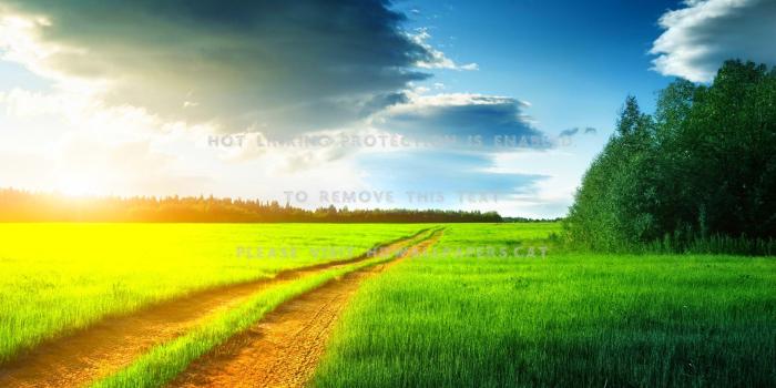 1920x1080 magical sunrise prairie pasture field road