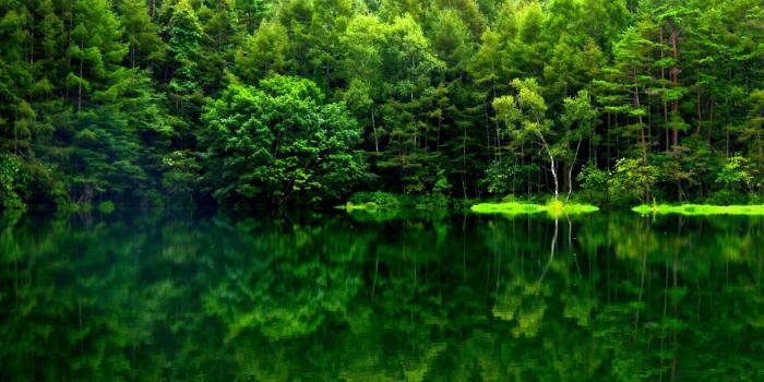1920x1080 Best 44+ Green Japanese Wallpaper on HipWallpaper | Green Wallpaper
