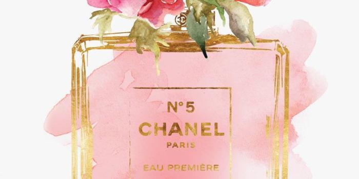 800x1200 Chanel Coco Mademoiselle perfume white and pink rose flowers wallpaper