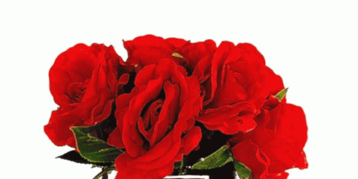 1242x2208 Perfume illustration | Make-up Bag.. in 2019 | Chanel wallpapers