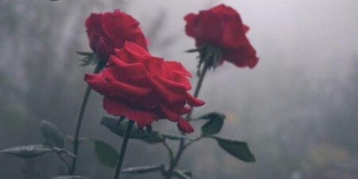 750x1165 Image about love in Wallpapers.