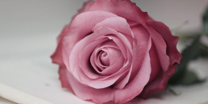 1920x1200 Chanel Wallpapers HD (70+ images)