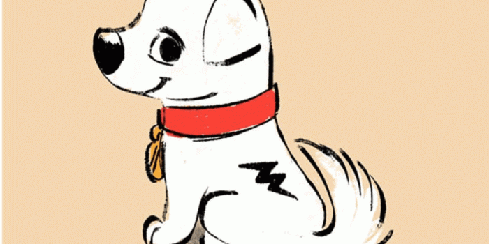 1242x2208 Bolt, Disney, dog, Puppy, lock screen background wallpaper for