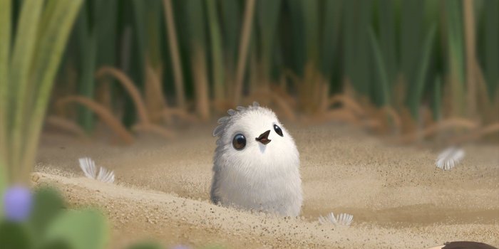 1440x960 Piper Pixar Wallpapers – Page 3 – 4kwallpaper.org