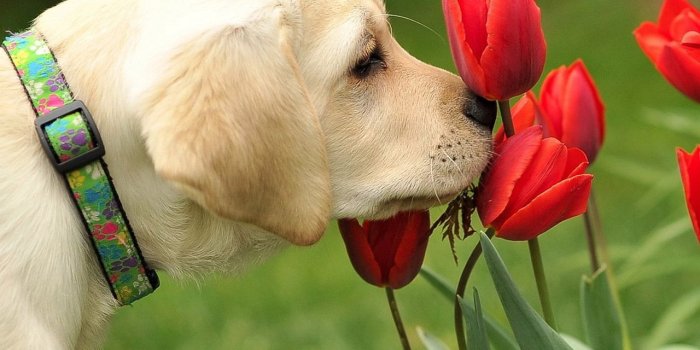 1280x1024 Net Wallpapers Disney Pixar Cars Wallpaper Picture Download Free Of