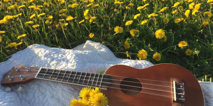 3264x2448 I took this and I think it's aesthetic | Aesthetic | Ukulele