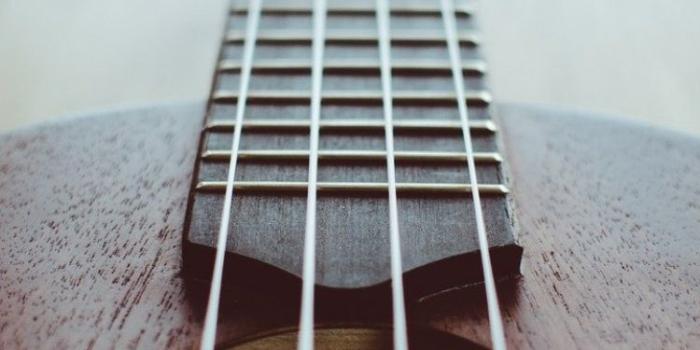 750x1334 60+ Ukulele Beach Wallpapers - Download at WallpaperBro