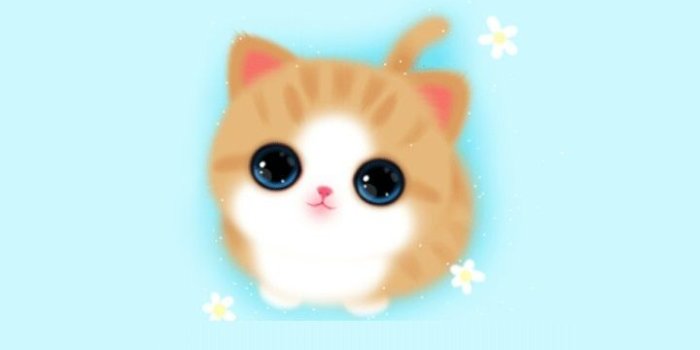 720x1280 Cute Girly Iphone Wallpaper Cat Baby Blue | 2019 3D iPhone Wallpaper