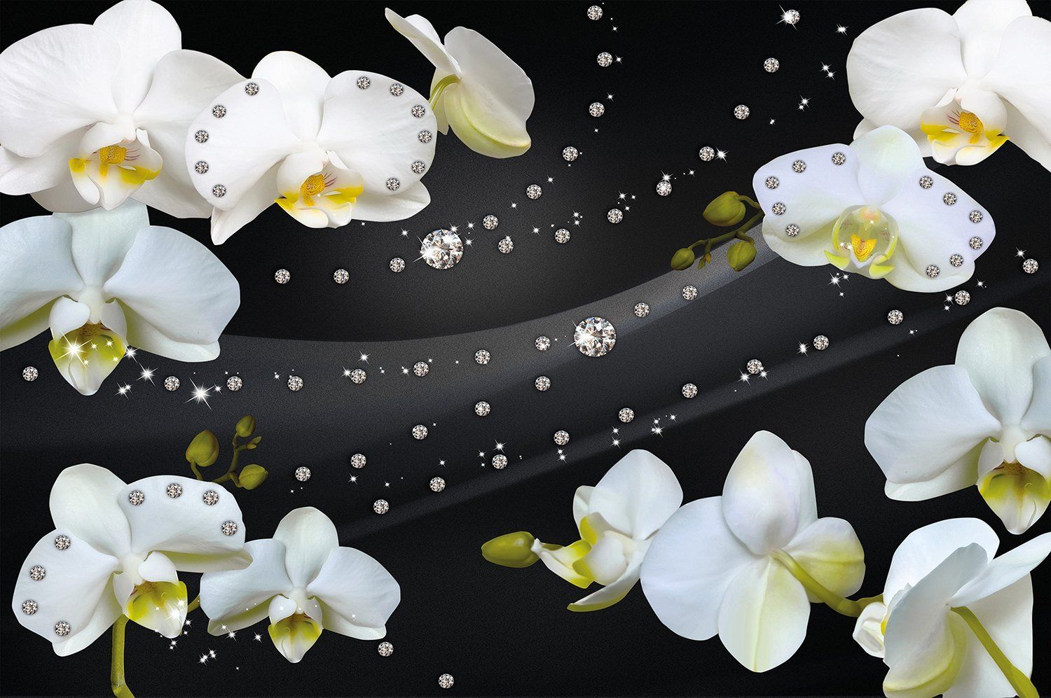 1500x997 White Orchid Photo Wallpaper with Diamonds Mural Decoration- Modern  Blossoms Orchid Flowers- Bud Phalaenopsis Orchid I paperhanging Wallpaper  Poster