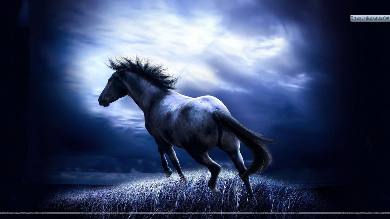 1920x1080 57+ Running Horses Wallpapers on WallpaperPlay