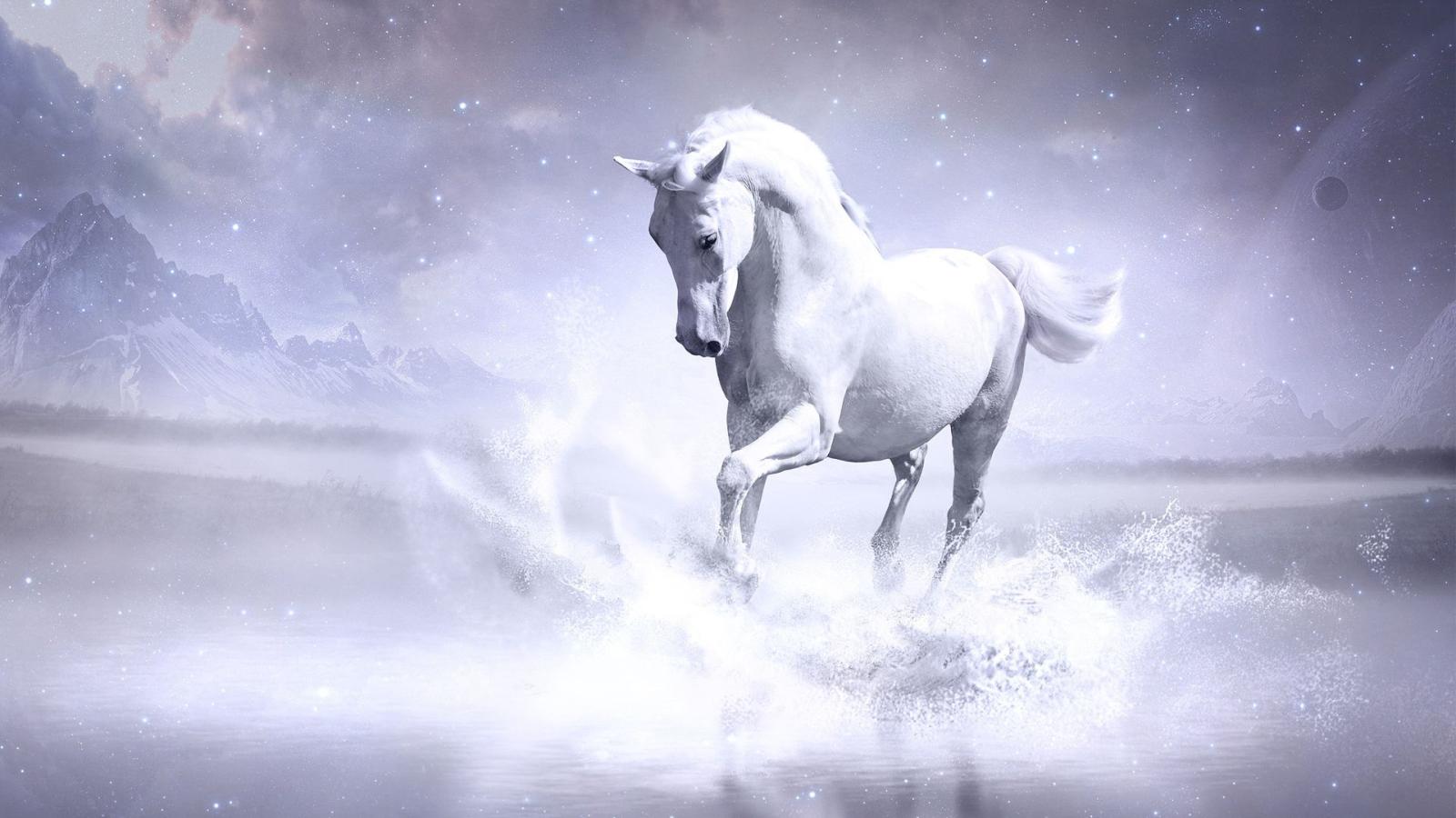 1920x1080 1920x1080 White Horse Laptop Full HD 1080P HD 4k Wallpapers, Images