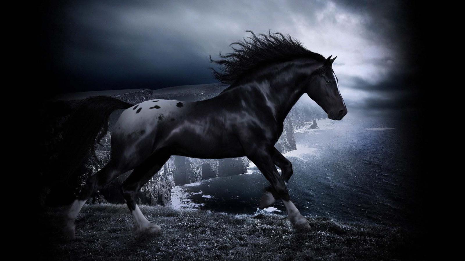 1920x1080 70+ Horse Desktop Wallpapers - Download at WallpaperBro