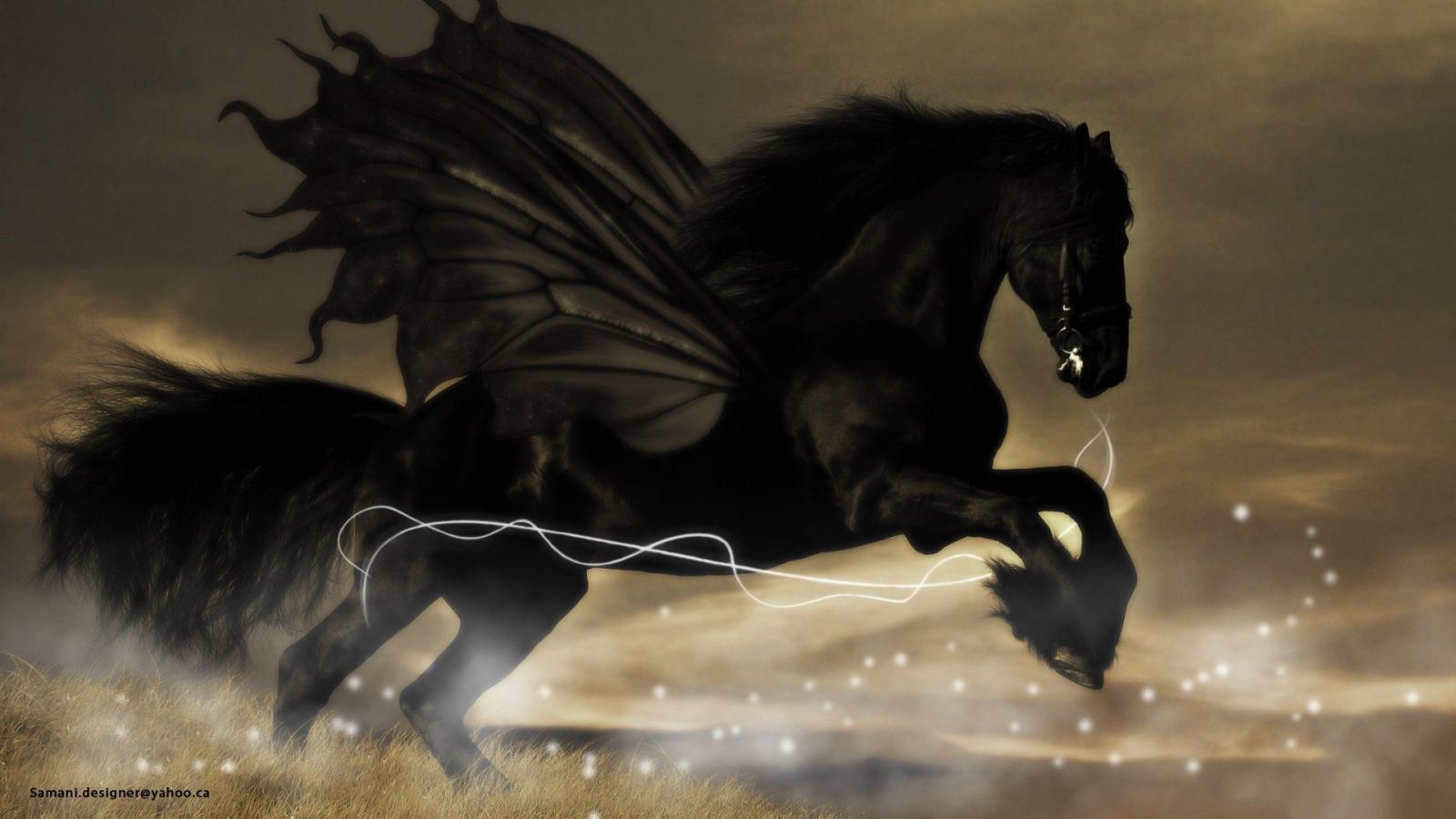 1920x1080 Free Black Horse Wallpaper Background Photos Apple Mac Wallpapers