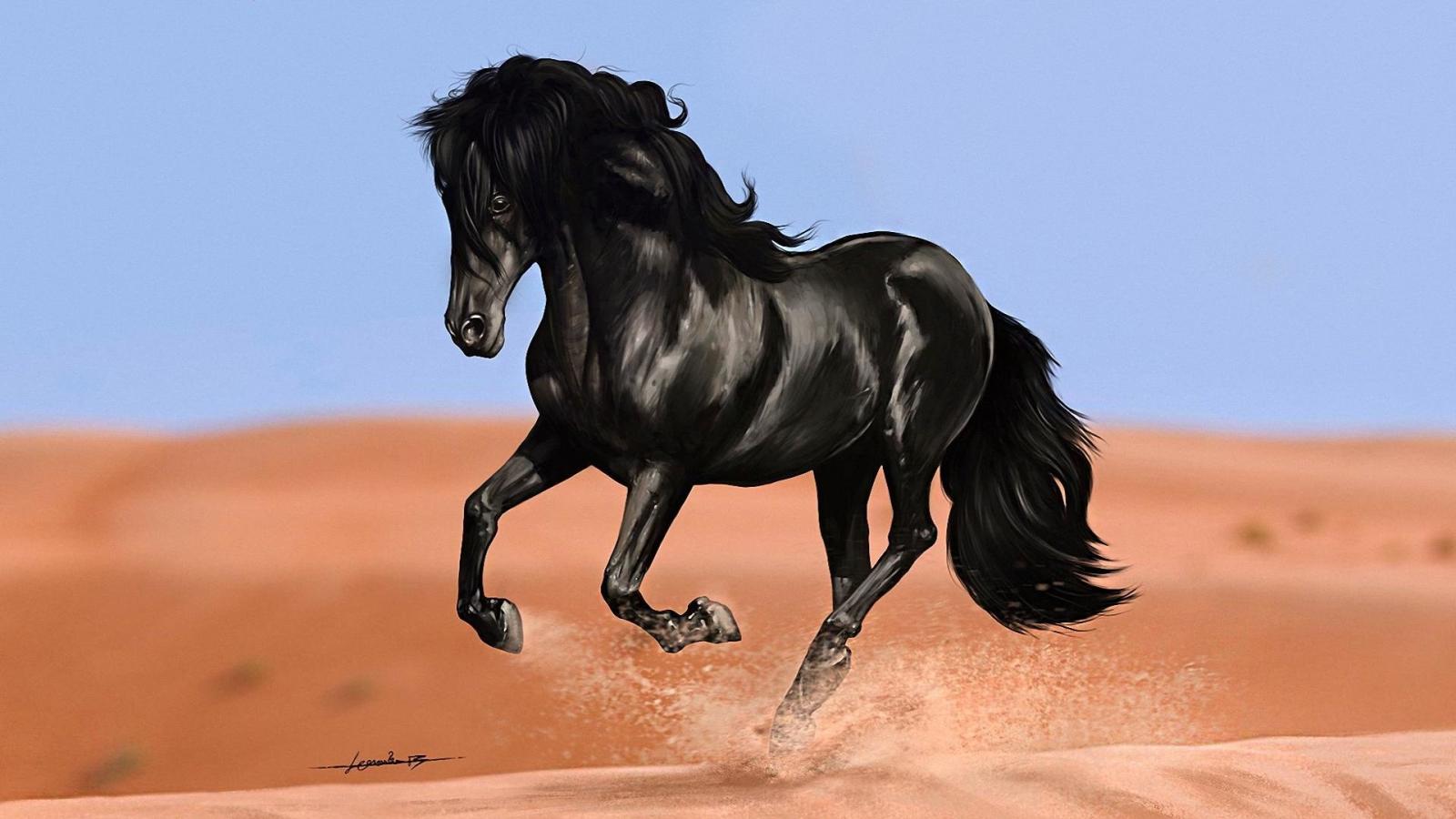1920x1080 Free download Horse wallpaper ID:23230 hd 1920x1080 for computer